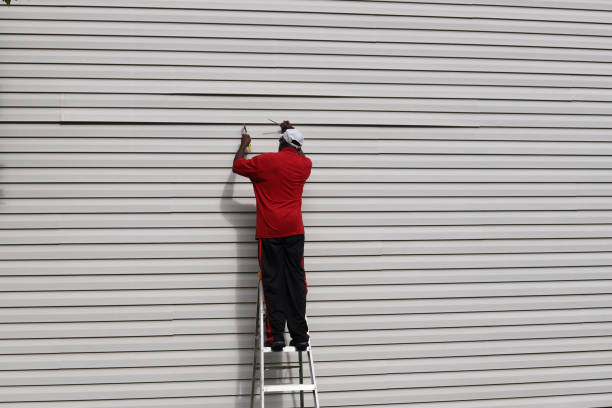 Affordable Siding Repair and Maintenance Services in Benwood, WV